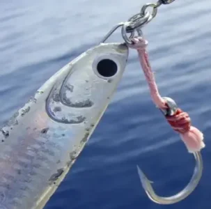 Shore Jiggig