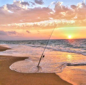 SURFCASTING